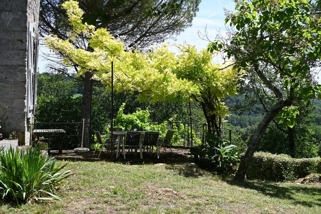 The upper garden, shaded all afternoon
